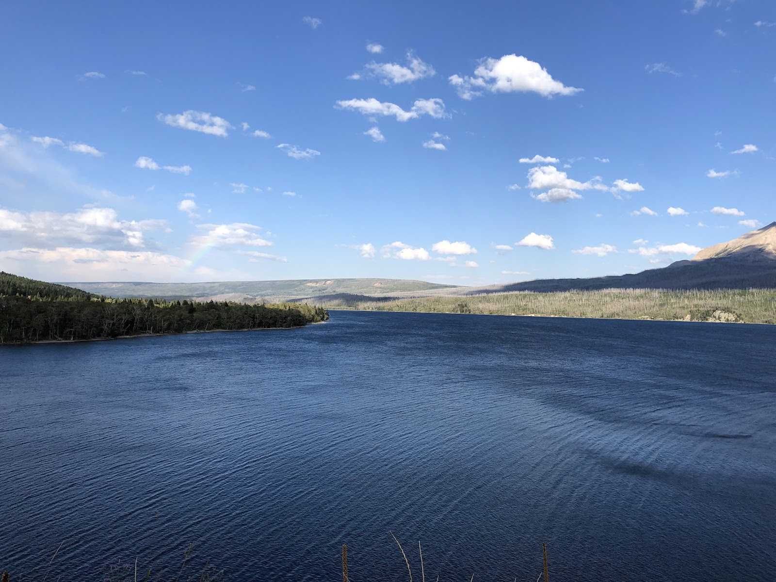 Saint Mary Lake sits beneath a bright blue sky in Glacier National Park, with forested shorelines and distant mountains.