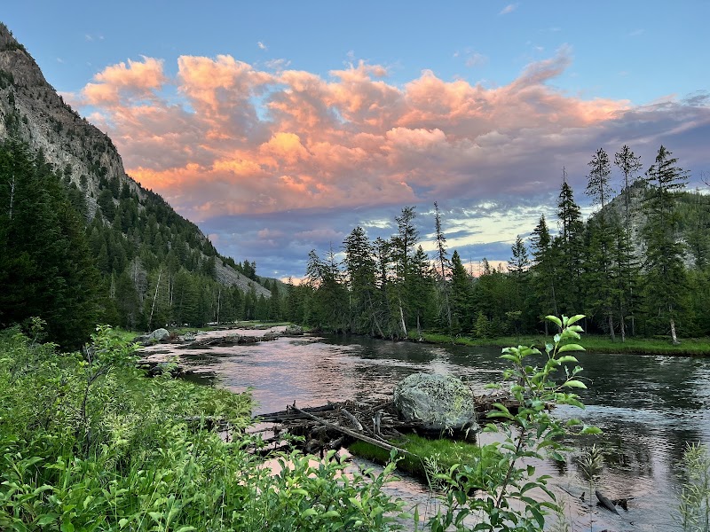 Sunset over a calm river in Yellowstone National Park, with pine forest, rocky banks, and driftwood.