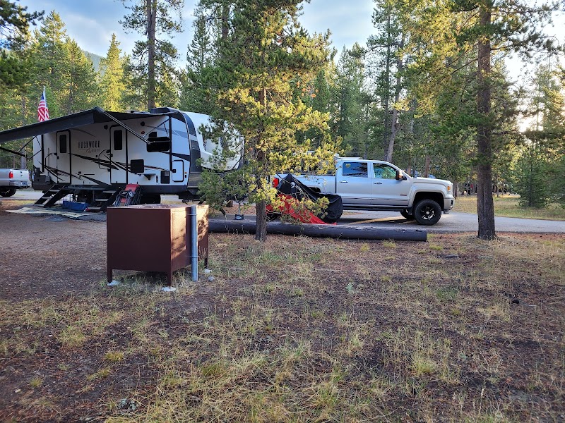 A large travel trailer and a white pickup truck parked at a campground among tall pines in Yellowstone National Park.