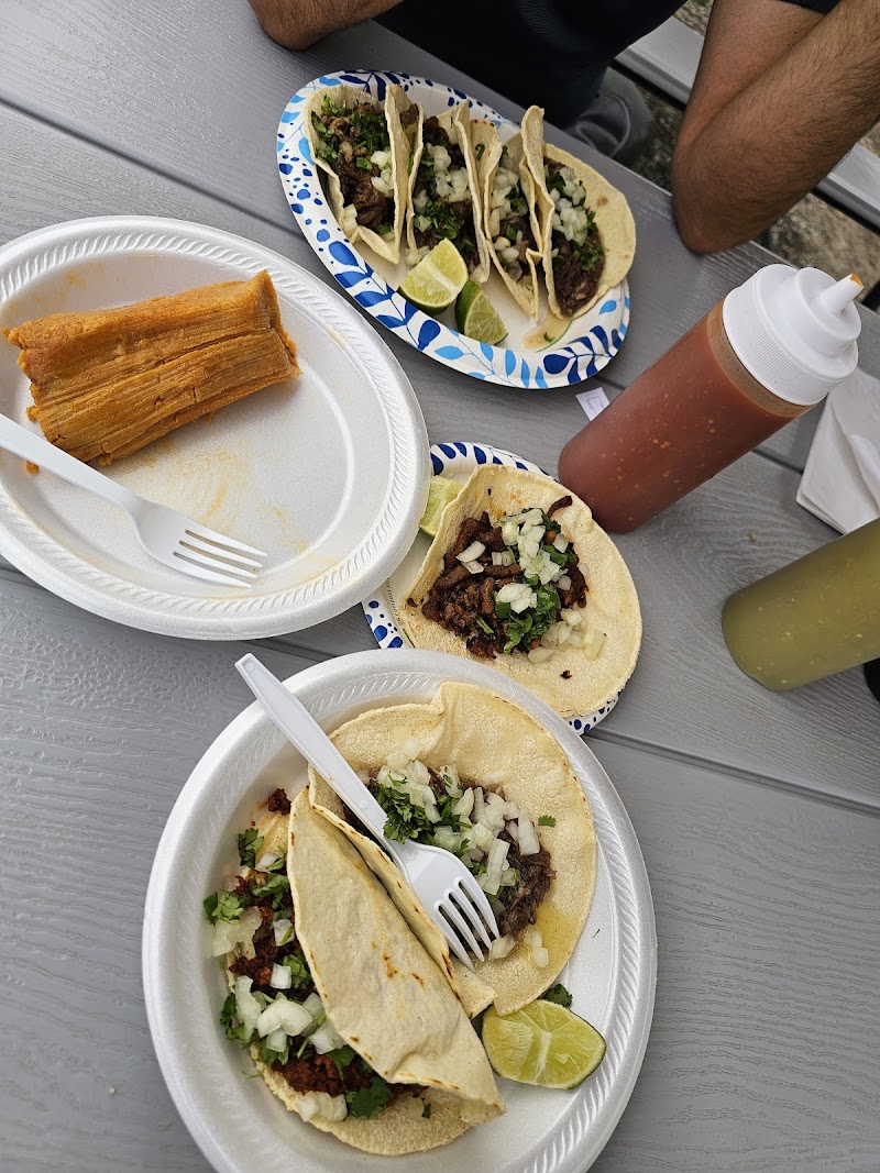 Soft beef tacos with onions and cilantro, lime wedges, and hot sauce on a gray picnic table at Yellowstone National Park.