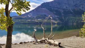 Rising Sun Picnic Area at Glacier National Park sits beside a calm lake with rugged mountains in the distance.