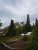 Elk Mountain towers over evergreen forest with patches of snow in Glacier National Park.