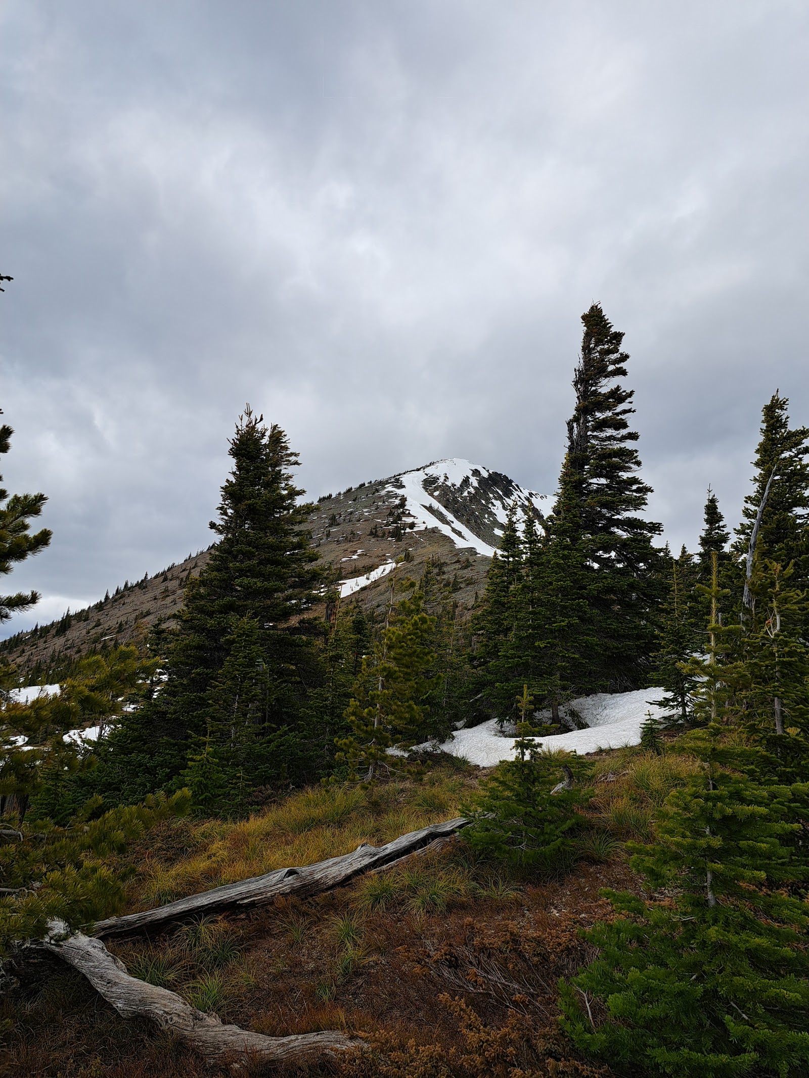 Elk Mountain towers over evergreen forest with patches of snow in Glacier National Park.