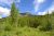 Elk Mountain rises behind a meadow and forested hillside in Glacier National Park, captured in bright summer light.
