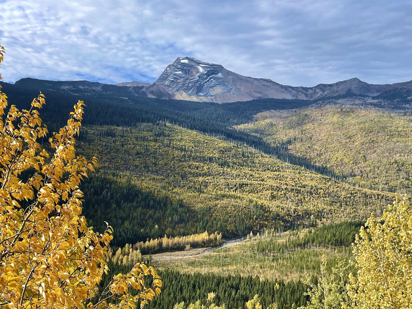 Going-to-the-Sun Mountain looms over a valley in autumn colors, Glacier National Park.