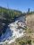 Rugged canyon reveals a fast river tumbling over rocky ledges, pine forests lining the banks under a clear blue sky in Yellowstone National Park.