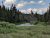 Yellowstone National Park scene with a river winding through dense shrubs and pines, and a rocky cliff in the background.