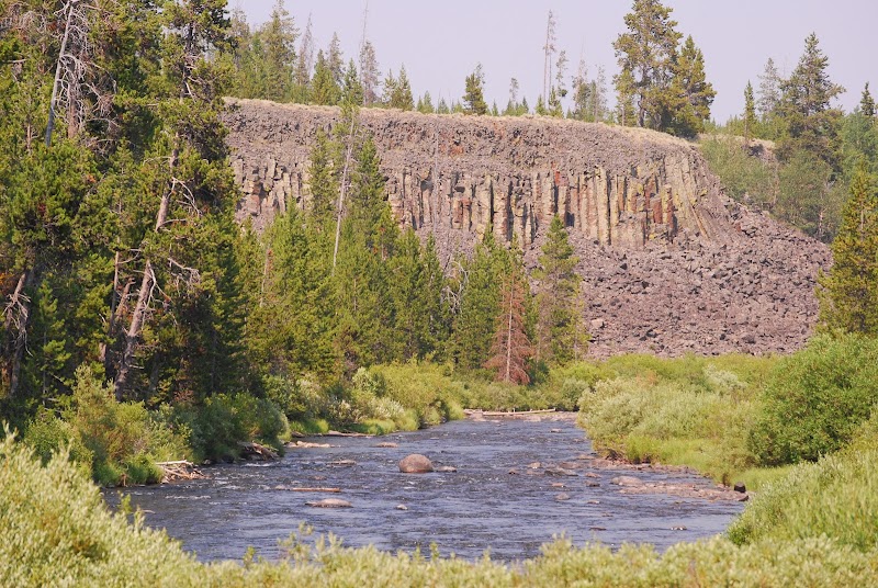 Rushing river winds through a pine forest toward a basalt column-cliff, in Yellowstone National Park.