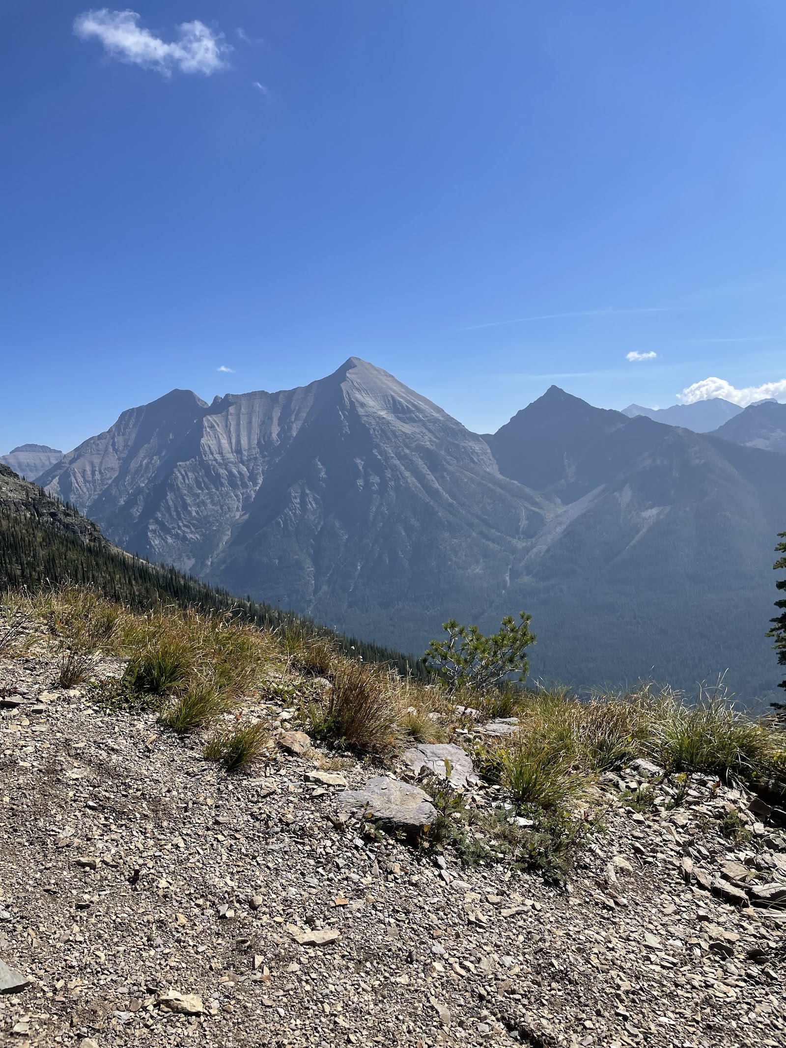 Rainbow Peak towers above a rocky overlook in Glacier National Park, showcasing rugged alpine scenery.