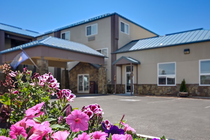 Colorful pink flowers in foreground with a beige and stone hotel building and metal roof in a parking lot, Yellowstone National Park.