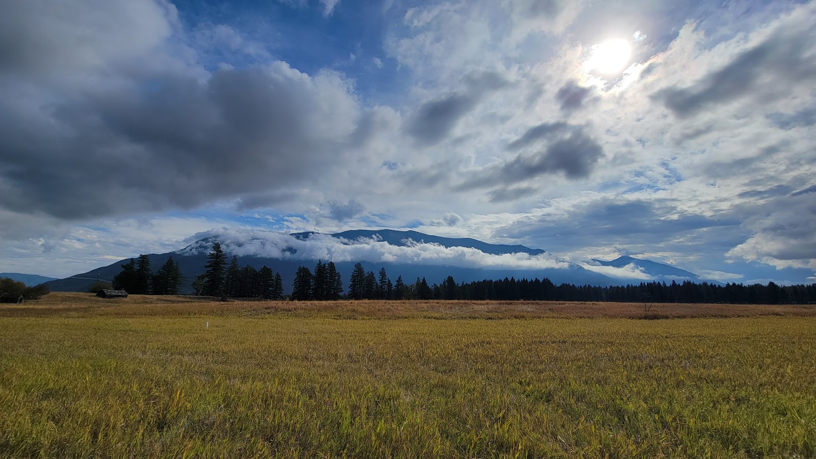 Open grassy field with a row of evergreen trees, a cloud-wrapped mountain range, and the sun breaking through at Glacier National Park.
