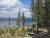 Grant Visitor Center overlook at Yellowstone National Park, with pine trees and Yellowstone Lake in view.