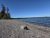 Pebble beach along Yellowstone Lake with pine trees and calm blue water near the Grant area.