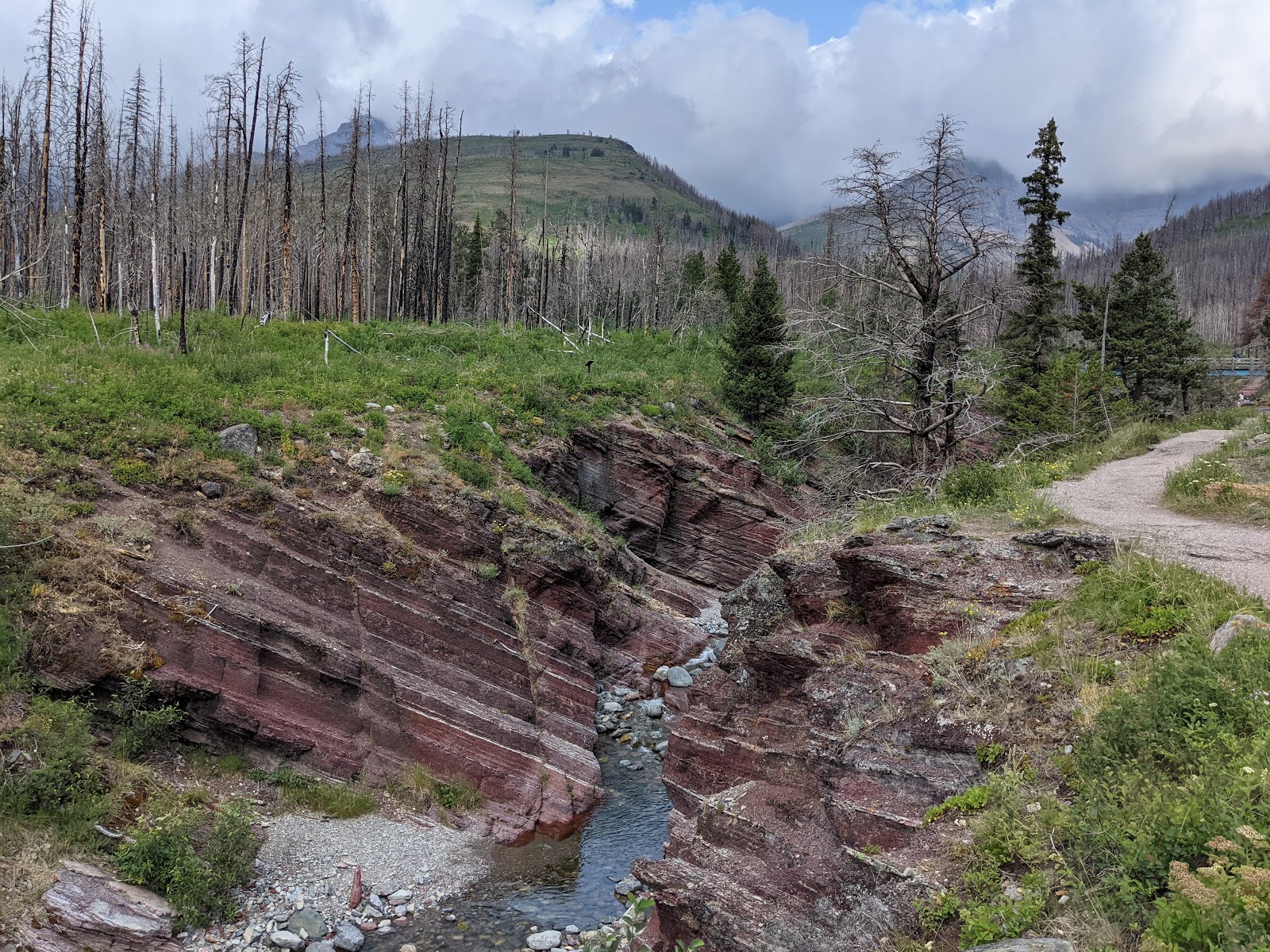 Red Rock Canyon trail in Glacier National Park winds beside striped red rock walls and a small creek.