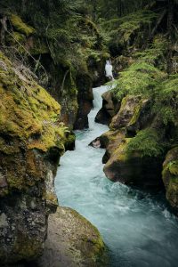 Trail of the Cedars Nature Trailhead winds through a mossy canyon alongside Avalanche Creek in Glacier National Park.
