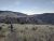 Hiker with trekking poles traverses a dirt trail through grassy meadows and scattered pines in Yellowstone National Park.