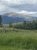 Campground area near Eagle Creek in Yellowstone National Park with tall grasses and a mountain backdrop.