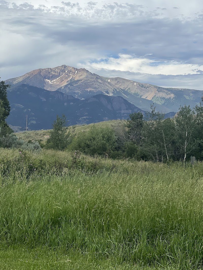 Grassy meadow with shrubs and trees in foreground, rugged mountain range beneath a cloudy sky in Yellowstone National Park.