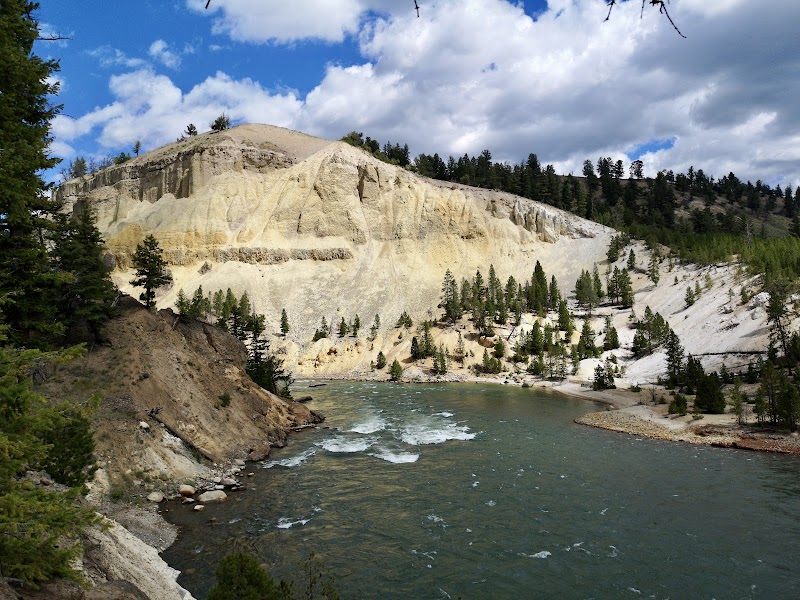 Beige sandstone cliffs tower over a fast-flowing river with pine trees along the shore in Yellowstone National Park.