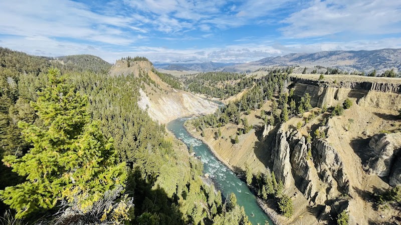 Tower Fall overlook in Yellowstone National Park shows a turquoise river winding through rugged canyon walls with pine forests.