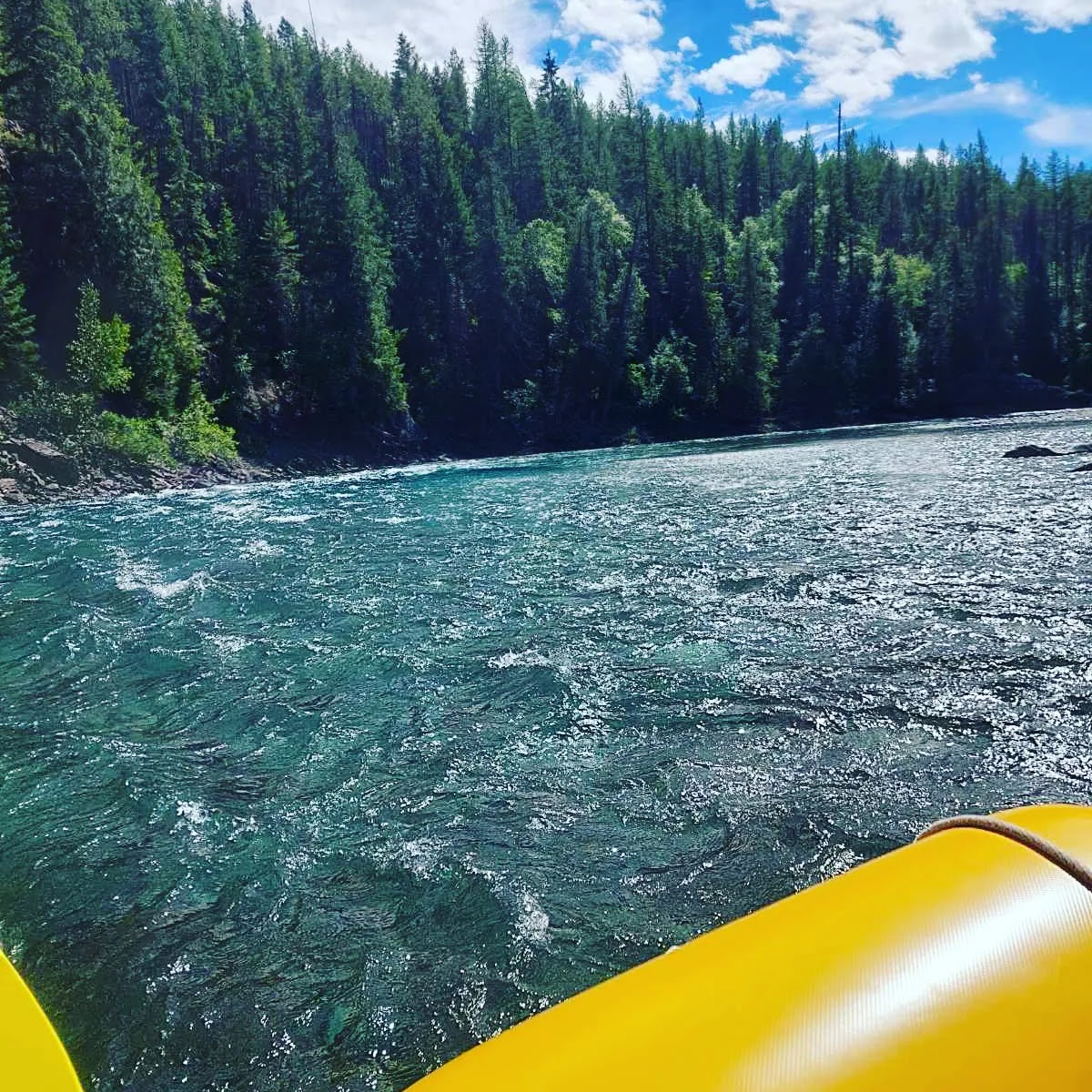 Yellow raft glides along the turquoise Flathead River beside a dense evergreen shoreline in Glacier National Park.