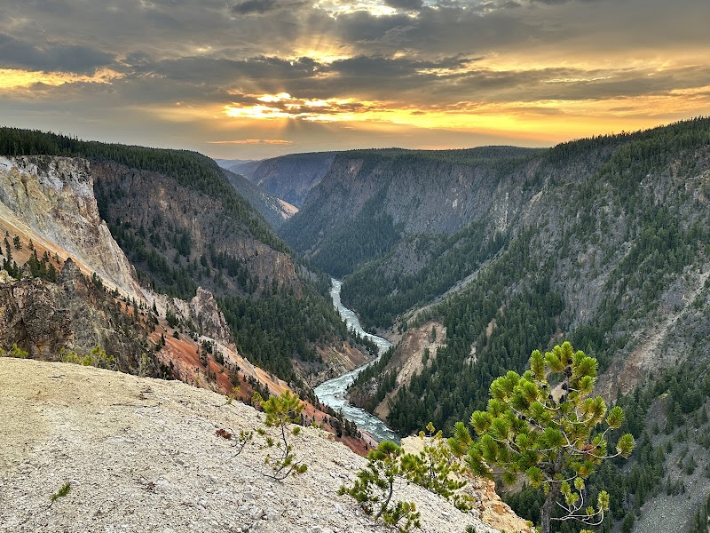 Yellowstone National Park's Inspiration Point looks down a forested canyon with a winding river and red-orange cliffs at sunset.