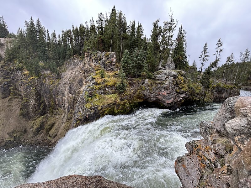 Rushing whitewater drops over a rocky brink, with pine trees and mossy cliffs at Yellowstone National Park.