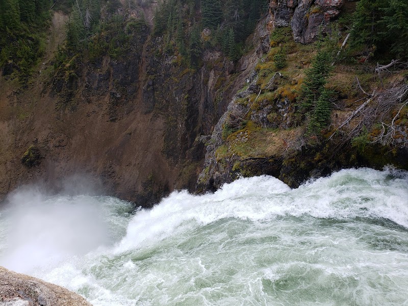 Powerful whitewater crashes over a rocky ledge into frothy water, framed by mossy cliffs and evergreens in Yellowstone National Park.
