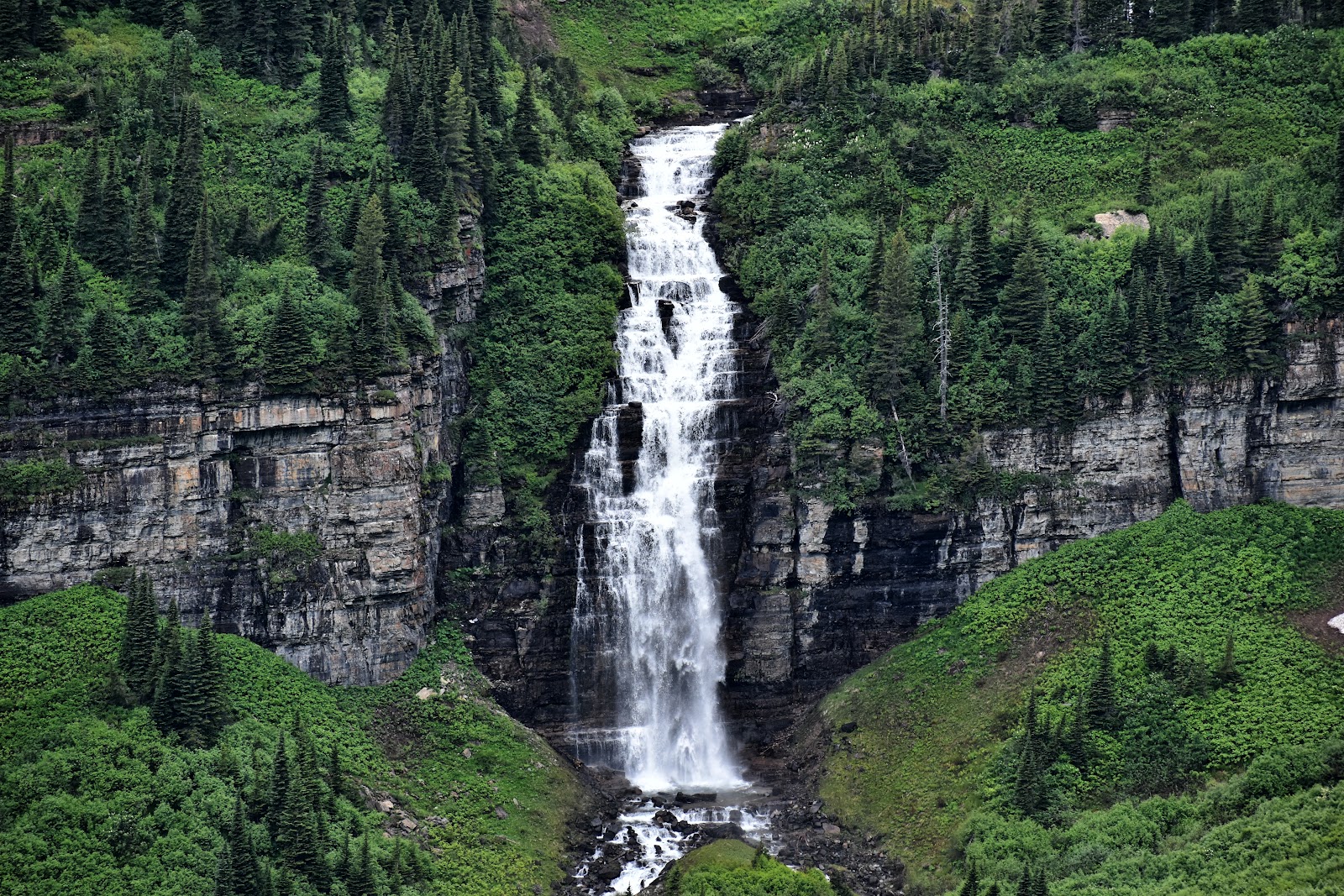 Tall tiered Bird Woman Falls plunges between green cliffs and evergreen forests in Glacier National Park.
