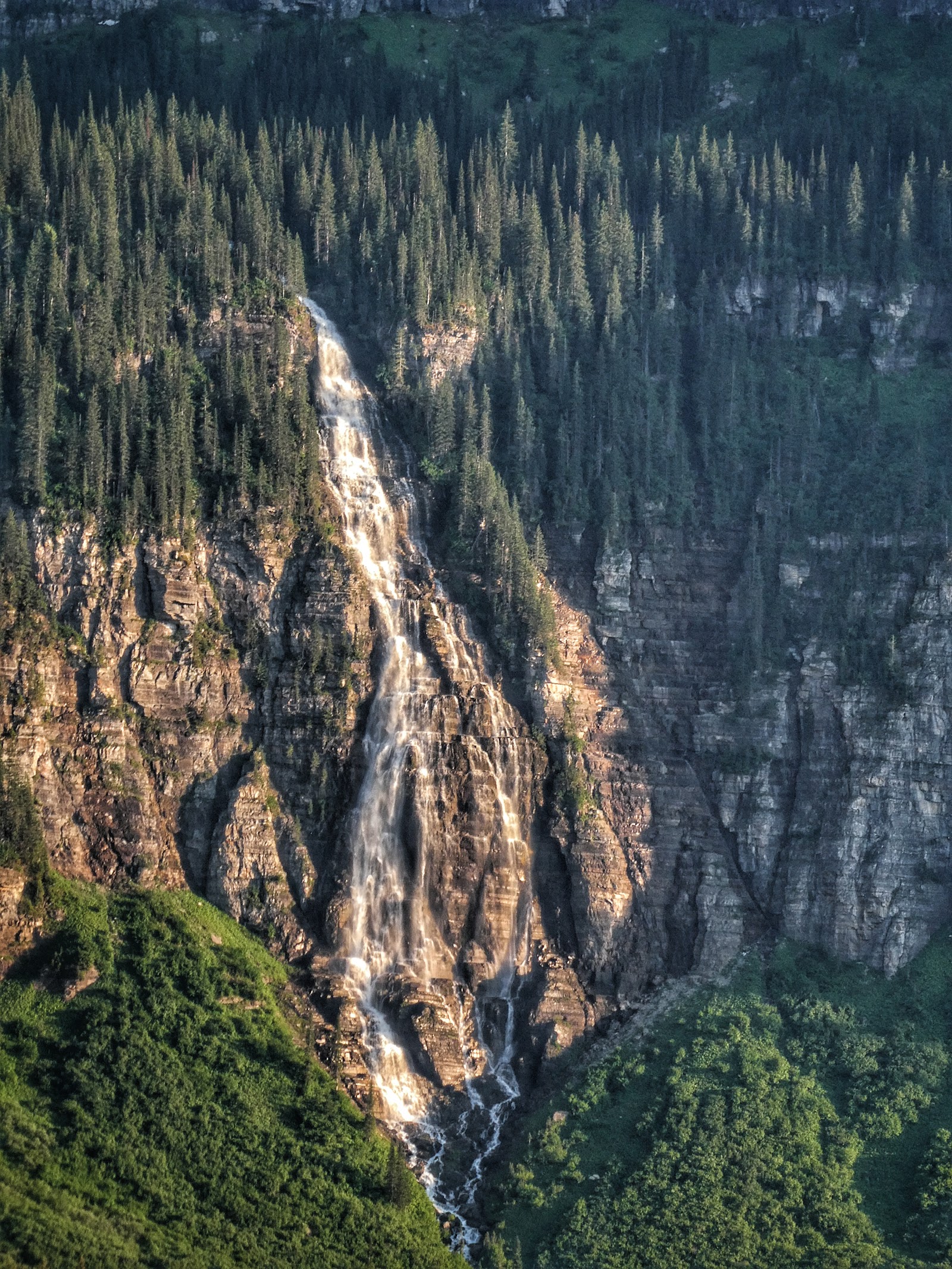 Bird Woman Falls cascades down a rugged rock face framed by dense evergreen forest in Glacier National Park.