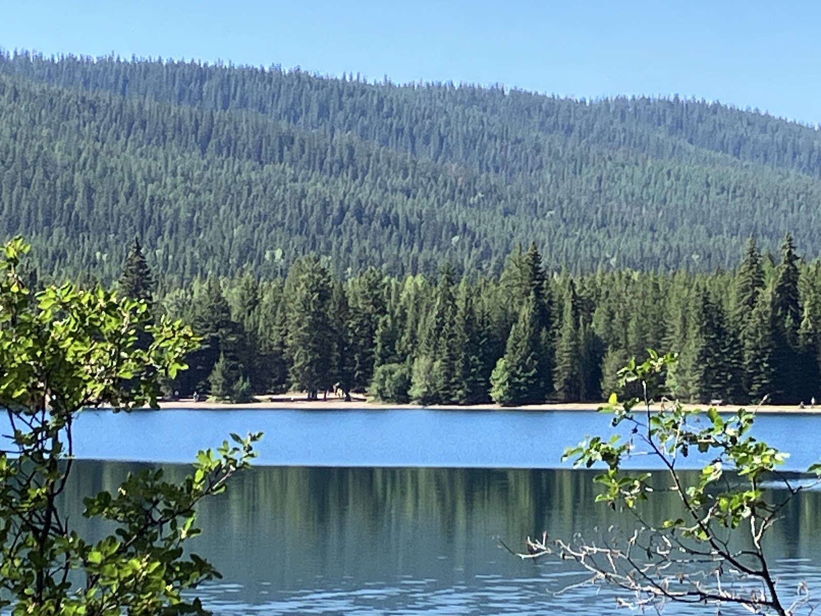 Chef plating a signature dish for the table