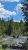 Bowman Lake shoreline with evergreen forest and rocky riverbank in Glacier National Park.