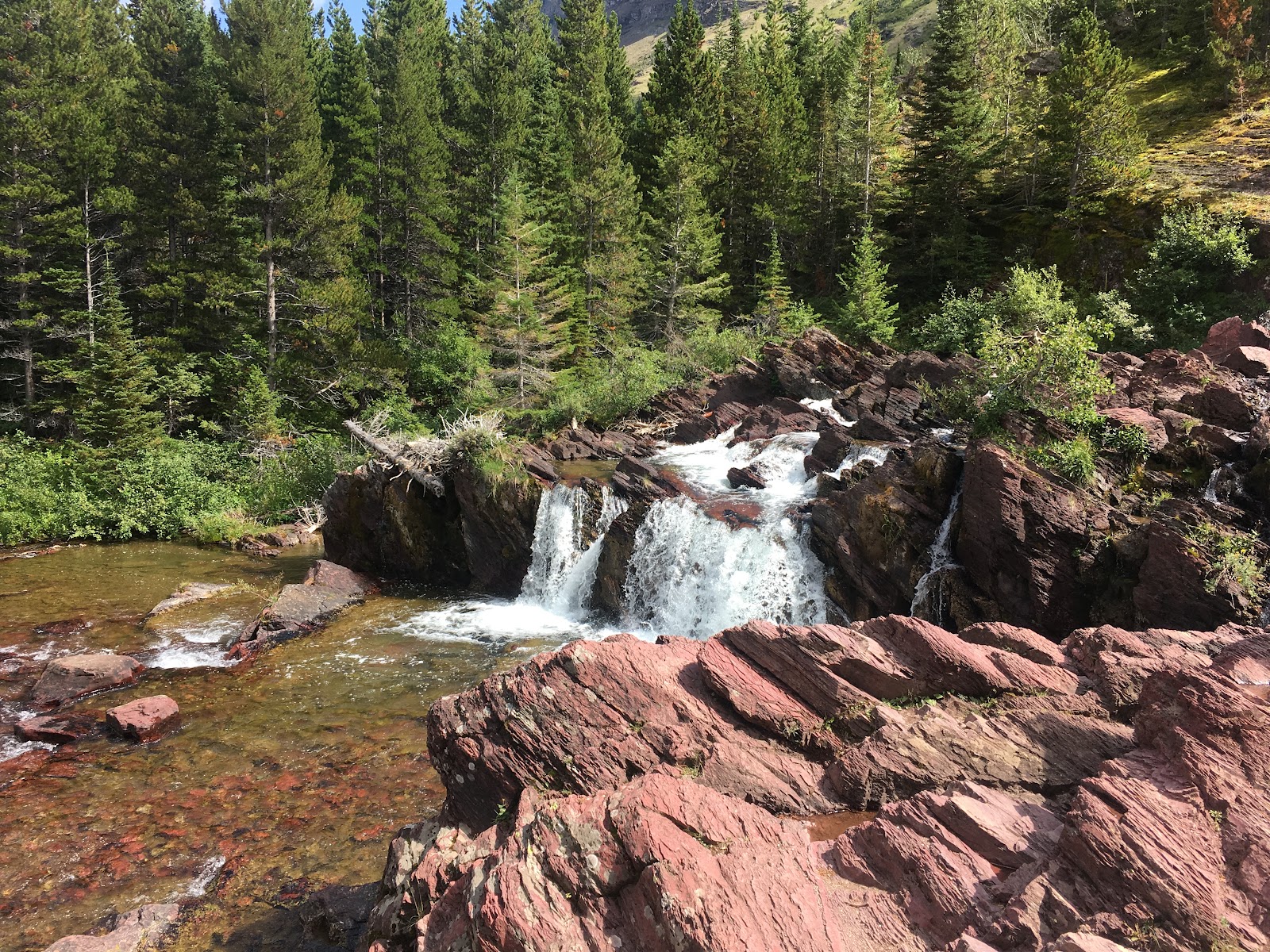 Redrock Falls cascading over red rocks in Glacier National Park, surrounded by evergreen forest.