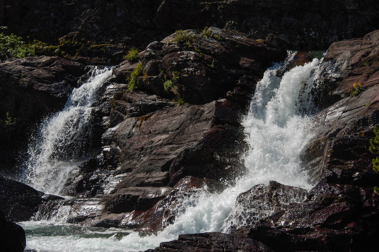 Redrock Falls tumbles over dark granite in Glacier National Park, a dramatic mountain cascade.