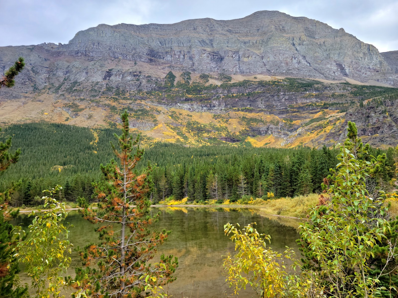 Redrock Falls in Glacier National Park cascades past evergreen forest with a rugged mountain backdrop, framed by colorful fall foliage.