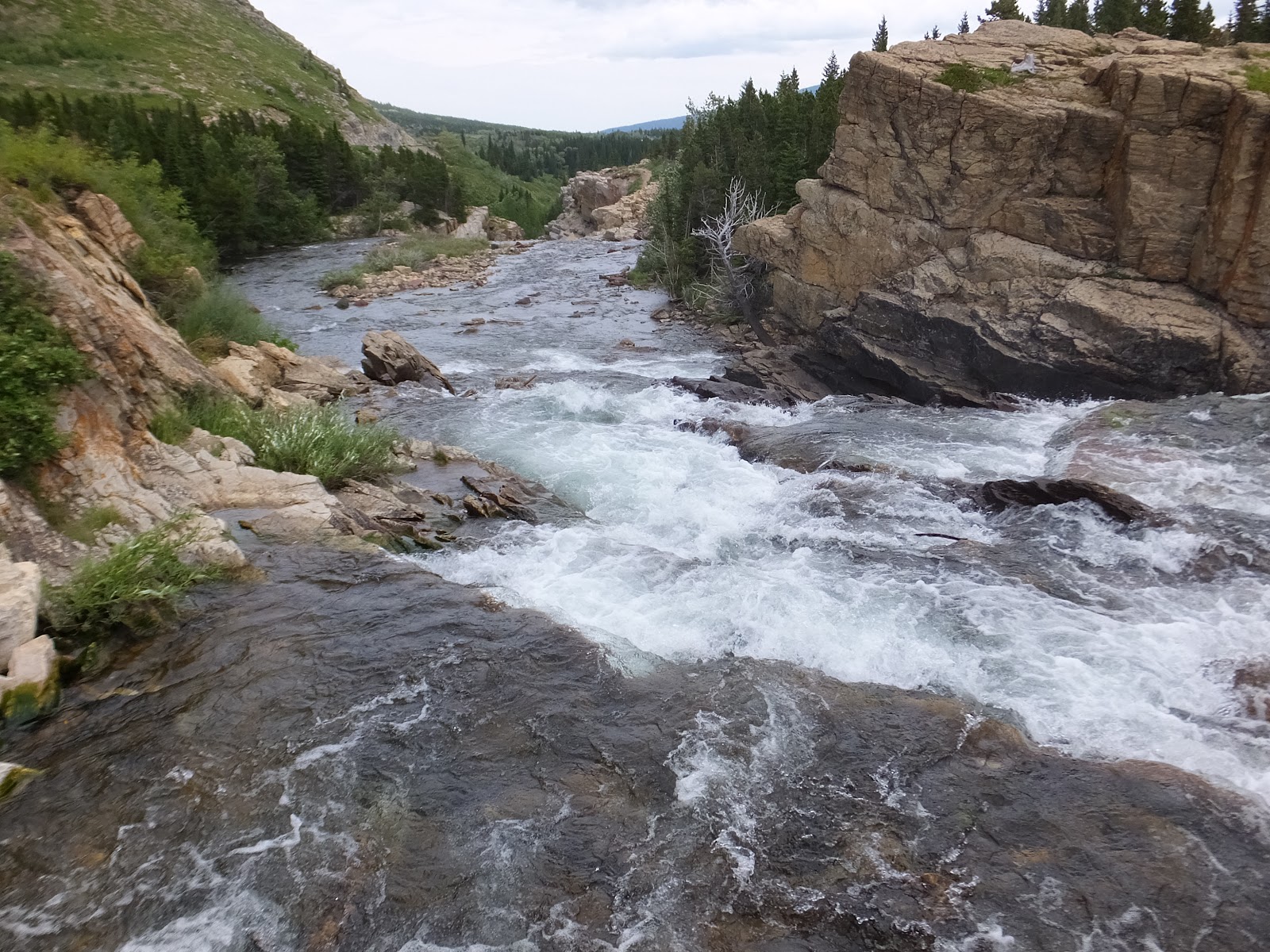Swiftcurrent Lake area rapids churn through dark rocks, with evergreen cliffs and a forested valley in Glacier National Park.
