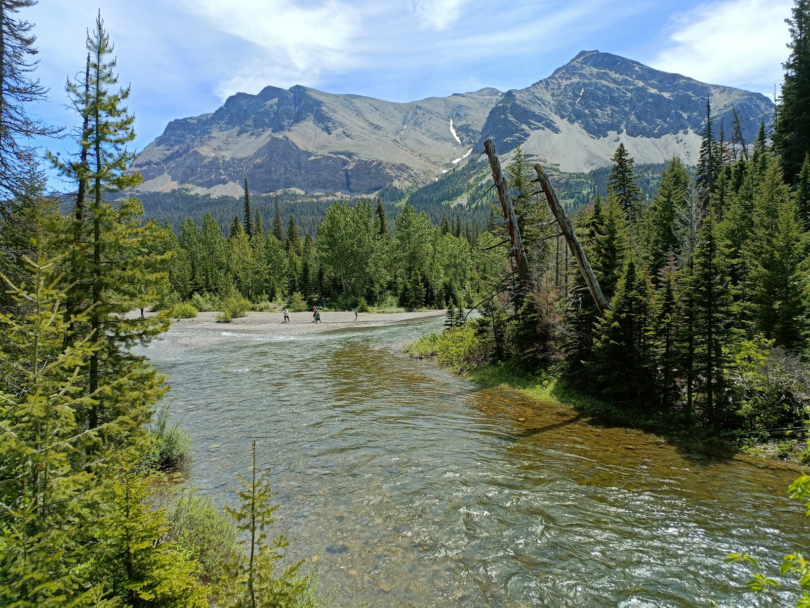 Clear river winds through a pine forest toward snow-dusted peaks in Glacier National Park, with hikers on a gravel bar.