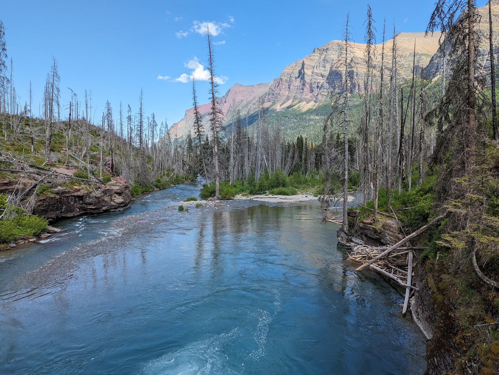 Saint Mary Falls Trail along a turquoise glacier-fed river with charred trees and rugged mountains in Glacier National Park.