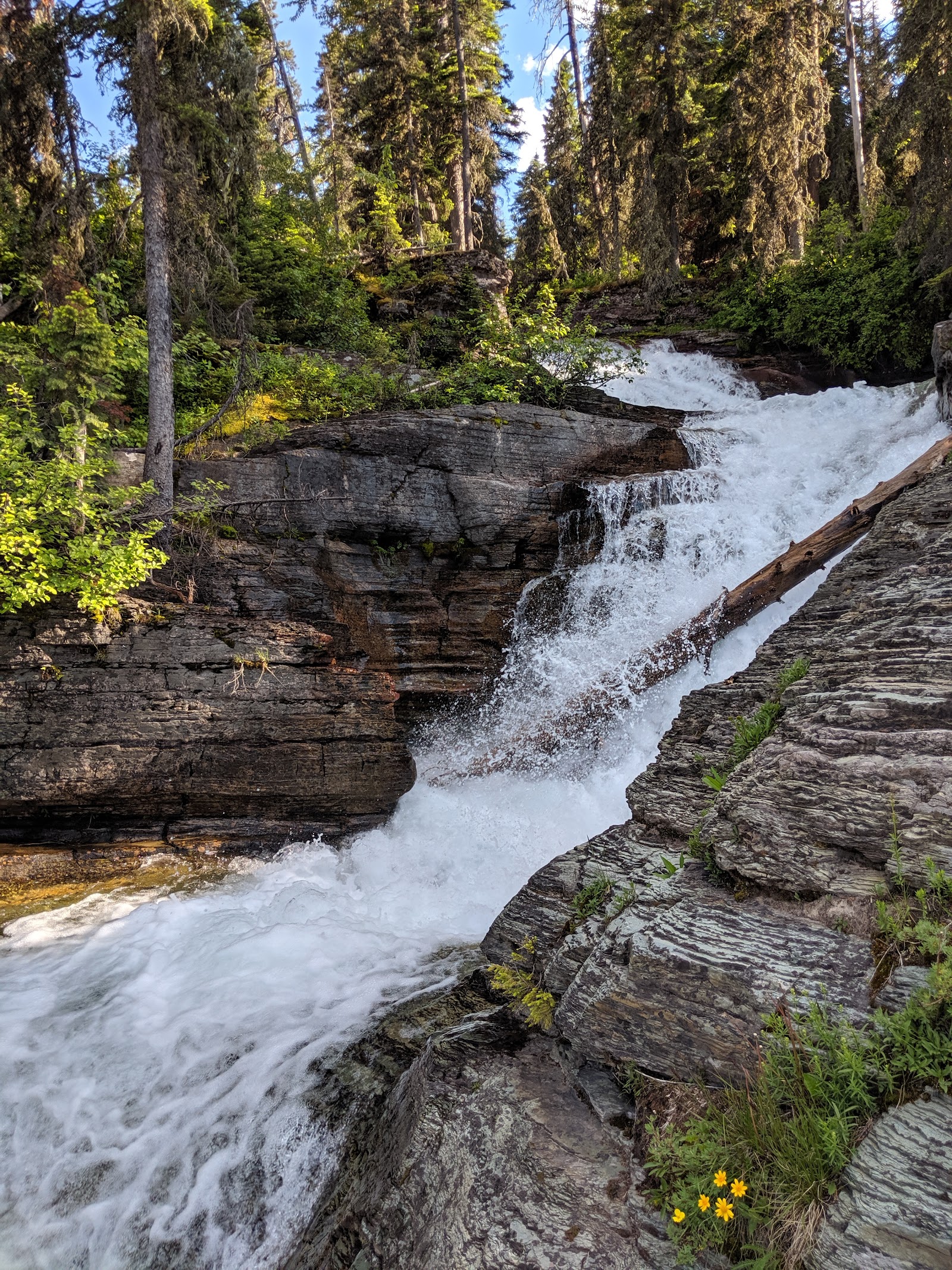 Saint Mary Falls Trail winds along rugged granite walls with a rushing waterfall in Glacier National Park.