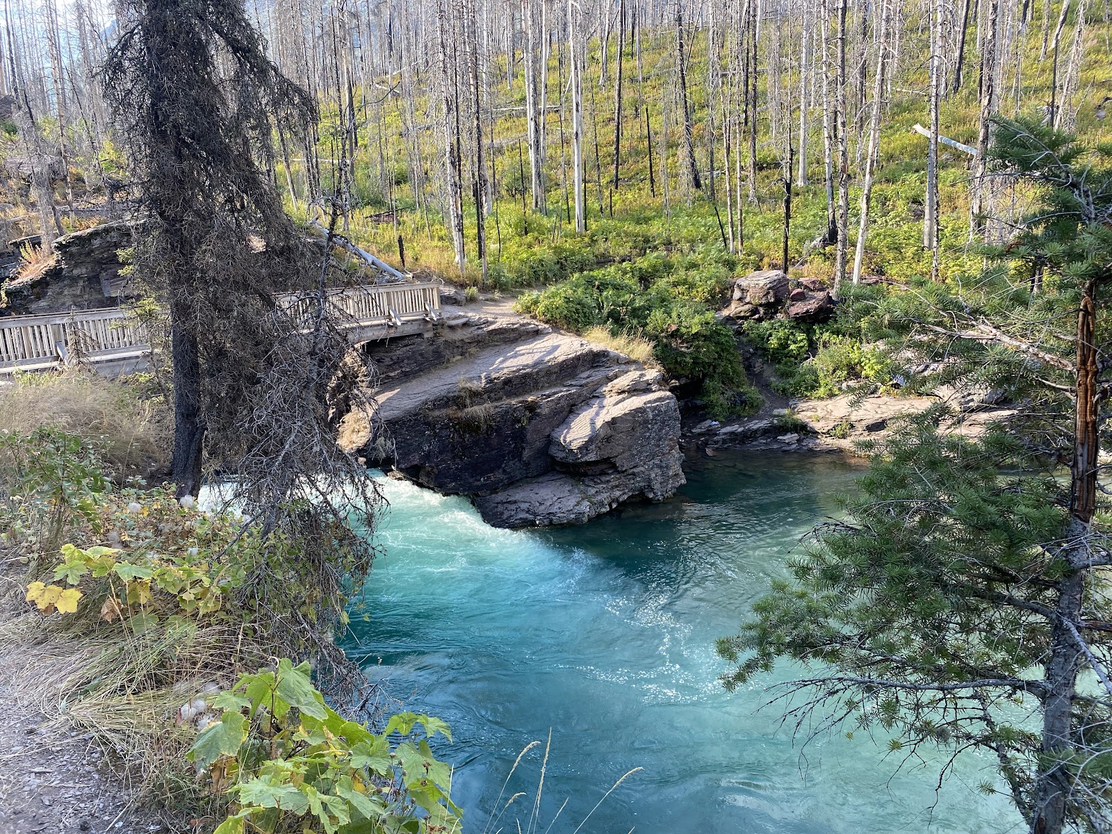 Saint Mary Falls Trail winds along the turquoise Saint Mary River in Glacier National Park.