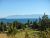 Lakeside view at Glacier National Park, featuring a calm blue lake, pine trees, and distant snowy mountains.