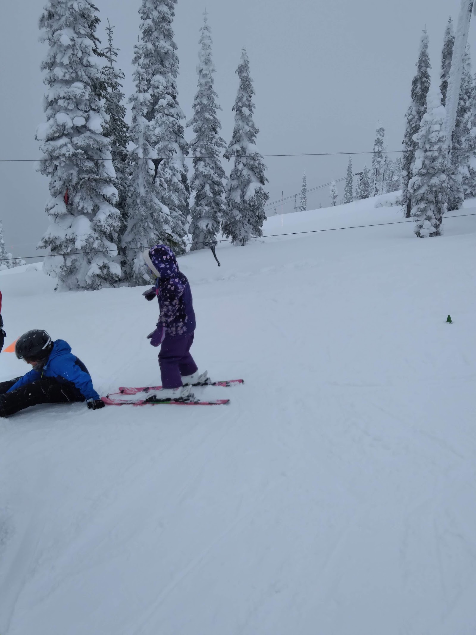 Snowy slope at Glacier National Park with tall snow-covered pines; two kids in blue and purple ski gear, one kneeling, the other standing.