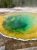 Colorful Grand Prismatic Spring roils in greens and blues near the Fairy Falls Trailhead in Yellowstone National Park.