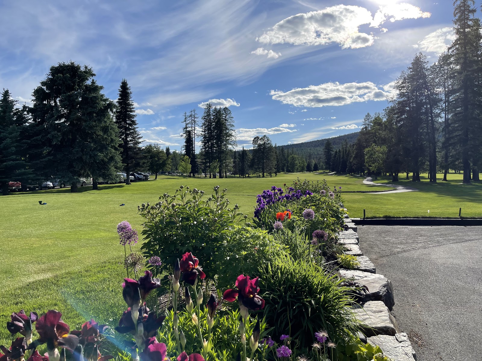 View of Whitefish Lake area in Glacier National Park, with a flower-filled terrace and sunny sky.