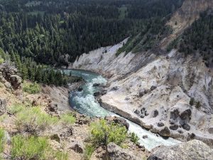 Exterior view of a rustic trailhead shelter and wooden sign beside tall pines