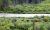 Horseback riders travel a riverfront trail through dense Yellowstone National Park forest, near a broad rippling river.