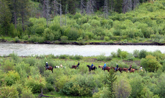 Horses and riders trek along a grassy riverbank in Yellowstone National Park with a fast-moving river and evergreen forest.