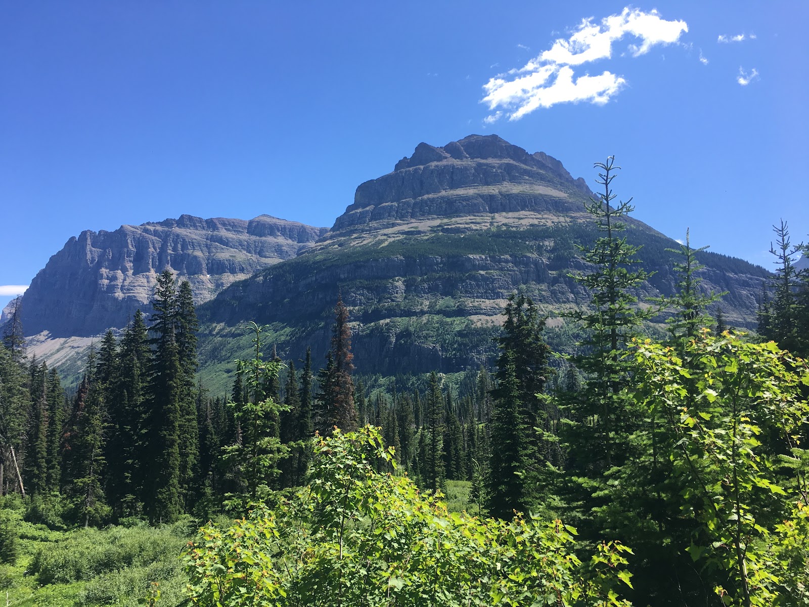 Florence Falls viewpoint in Glacier National Park, with lush conifer forest and rugged mountains framing the scene.