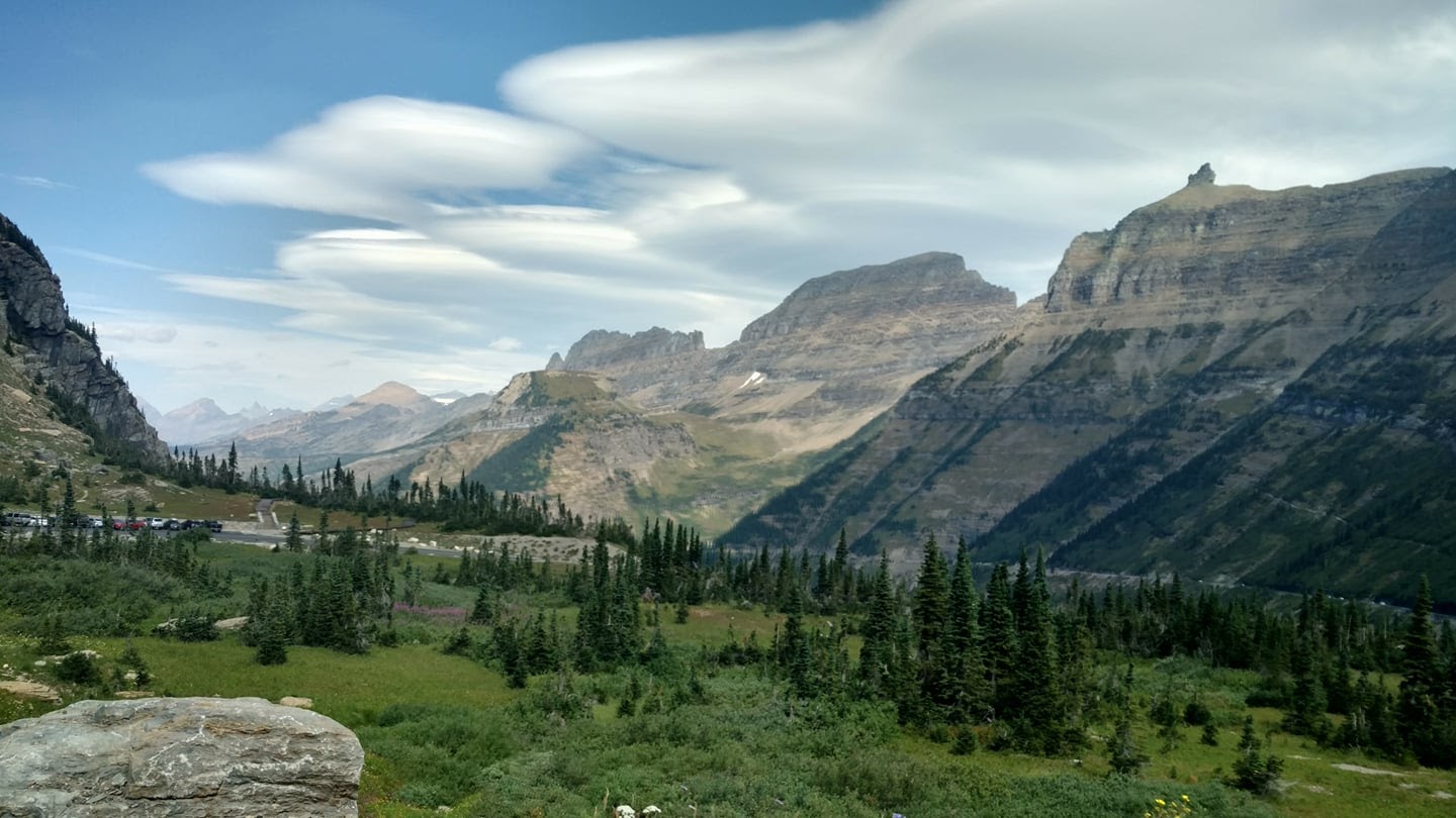 Sunlit valley meadow with dense evergreen trees and rugged mountain peaks in Glacier National Park under a bright blue sky.