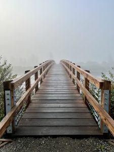 A wooden boardwalk bridge with sturdy railings stretches into dense fog over a marsh in Glacier National Park.